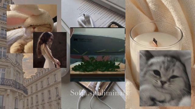 Комбо: 3 в 1- внешность Феликса из стрей кидс, огромный гардероб,запах вишни. Саблиминал+бустер смотреть онлайн