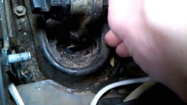 Растения и их экология