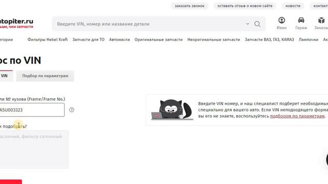Как оформить запрос по VIN смотреть онлайн