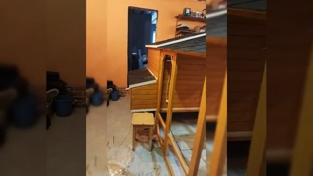 #курятник смотреть онлайн
