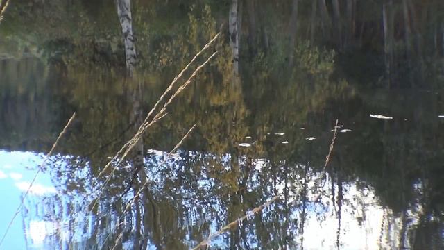 Veme - River Of Tears - Eric Clapton - 2013 смотреть онлайн