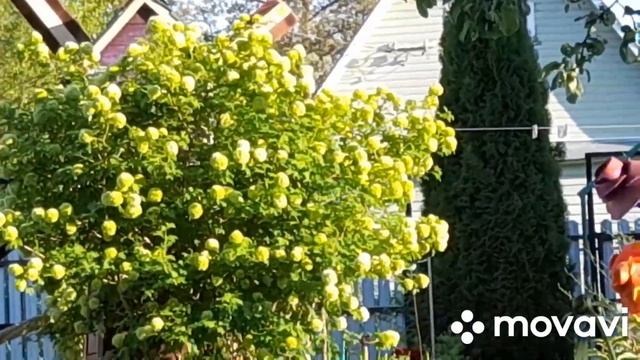 Всем приветик ? Я в Баньку ?Жратушки ?И ? Спать ??? смотреть онлайн