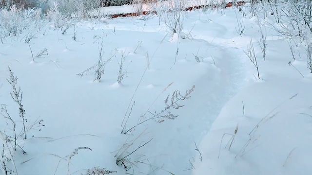 Красота Земная - это лучшее, что есть в нашей вселенной смотреть онлайн
