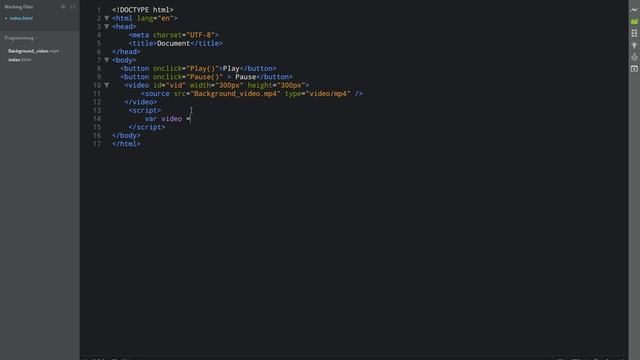 JavaScript Video Play,pause