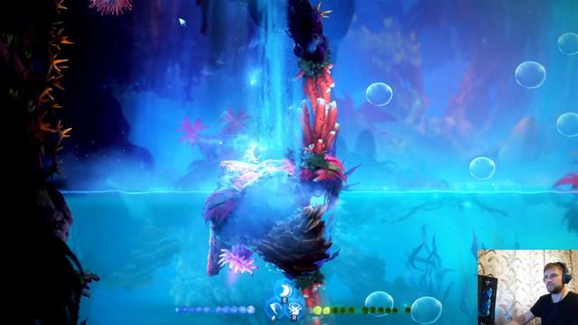 Ori And The Will Of The Wisps Светлые озера
