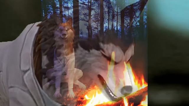 ll WildCraft ll Вилд крафт ll Меме не красивые глаза ll смотреть онлайн