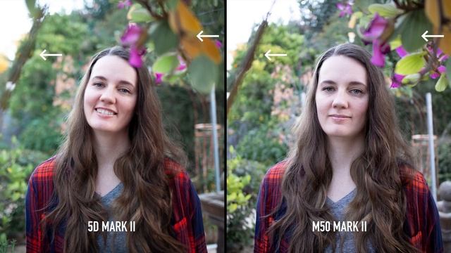 New Beginner Camera vs Old Pro Camera (M50 Mark ii vs 5D Mark ii) смотреть онлайн