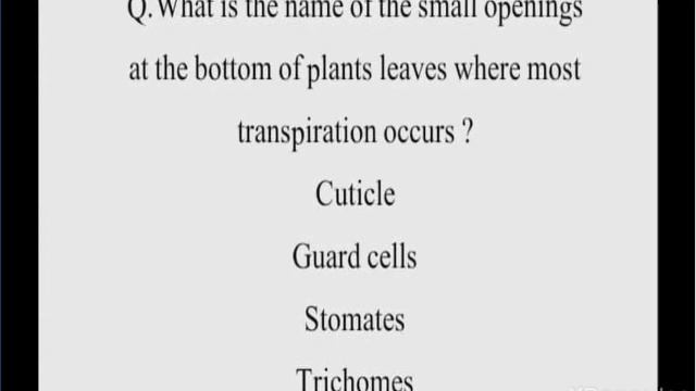 Most Important Questions Of EVS For WB Primary TET & C TET Part-10 By Taufique Ansari