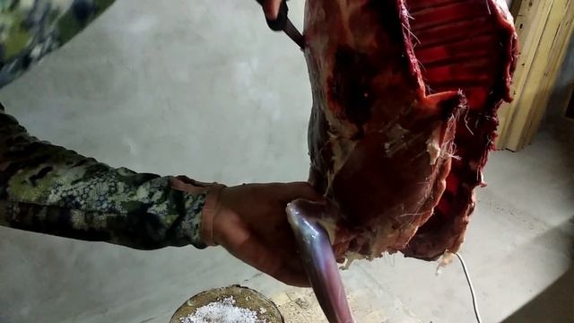 GIESSER - идеальный нож для охоты! Разделка косули, подробная поэтапная. смотреть онлайн