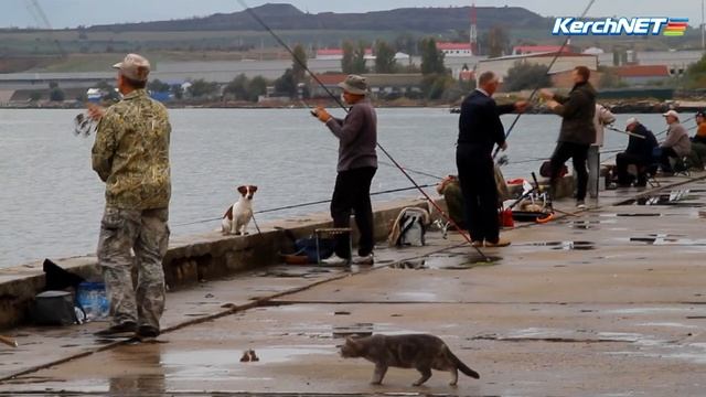 В Керчи и стар, и млад, ходят на рыбалку смотреть онлайн