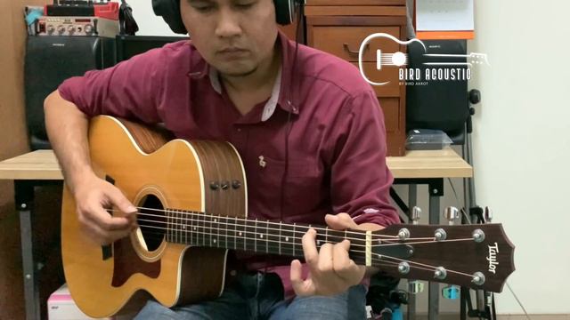 Taylor 314ce Vclass & 214ce - Review II By Bird Acoustic