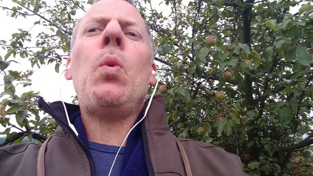 Teacher John past continuous and past simple explained смотреть онлайн