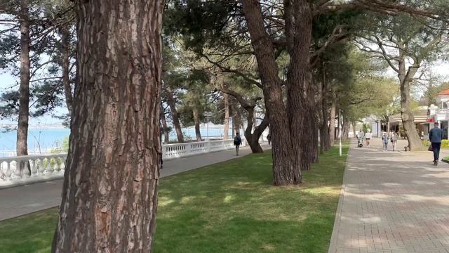 ГЕЛЕНДЖИК сейчас ОШАЛЕТЬ / прогулка по набережной смотреть онлайн