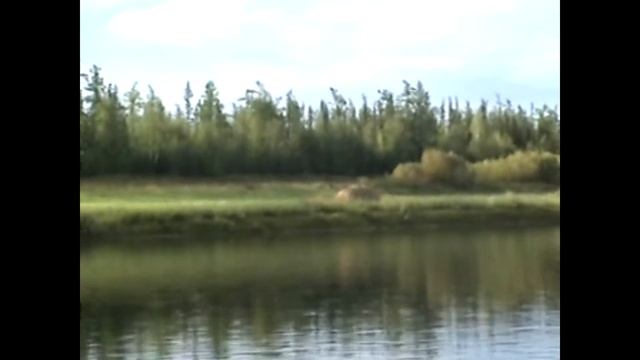 Таёжники (часть 2) смотреть онлайн