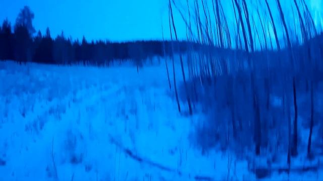 ЗИМНЯЯ ОХОТА НА КОСУЛЮ смотреть онлайн