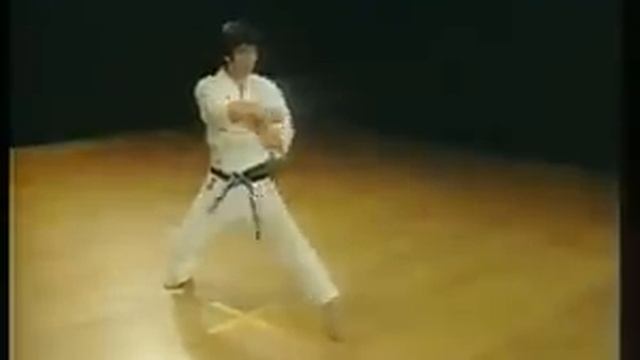 Nijushiho - Shotokan Karate смотреть онлайн