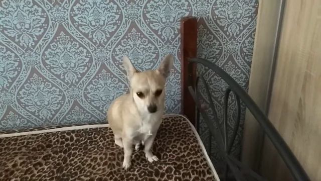 Варя и Артем и жэся смотреть онлайн