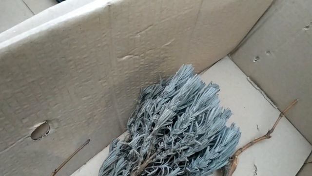 ВЕСНА ПРИШЛА И ПОСЫЛКУ из АГРОМАРКЕТА /уже какую за 3 года/ПРИНЕСЛА... смотреть онлайн