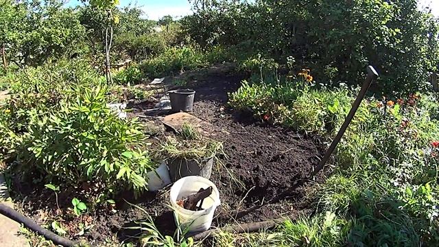 Белоцветник http://vermitechnologii.ru/ 25.08.2016. 1 смотреть онлайн