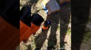 Сборка дренажного насоса вихрь дн 900.