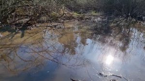 Осушения болота! Работа Экскаватора