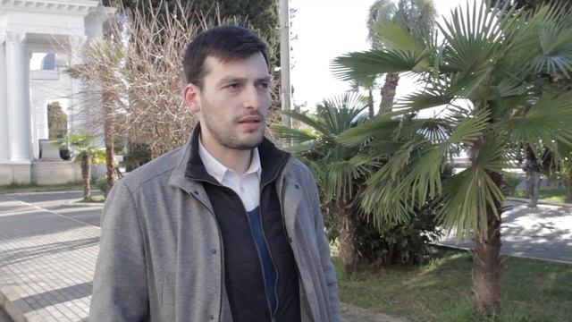 Пальмовый мотылёк может оставить Абхазию без пальм