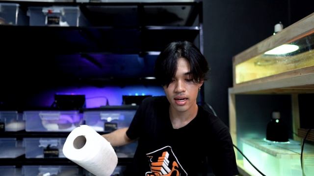 Ep.9 Morph และราคา งูบอลไพธอน (Ball Python) смотреть онлайн