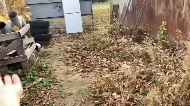 Влог 2:на даче?? смотреть онлайн