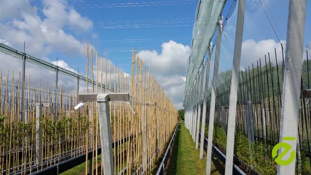 Meeting with Fruit Security Holland смотреть онлайн