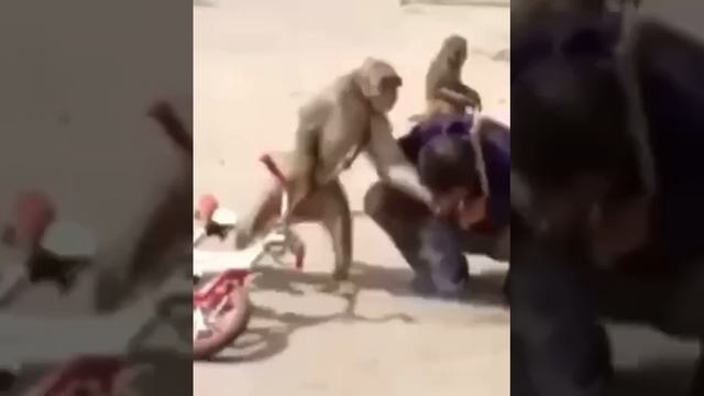 ПРИКОЛЫ 2022 смотреть онлайн