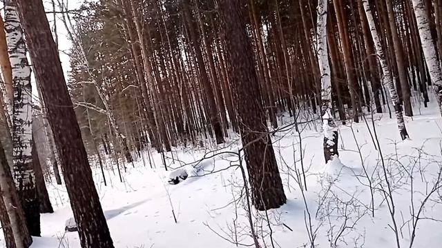 Екатеринбург. Февральская прогулка 15.02.2020г. смотреть онлайн
