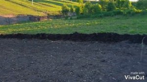 Подготовка земли для посадки арбузов и дынь