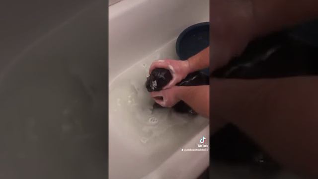 купаем нашего любимца)))/ кот в ванной/ водные процедуры смотреть онлайн