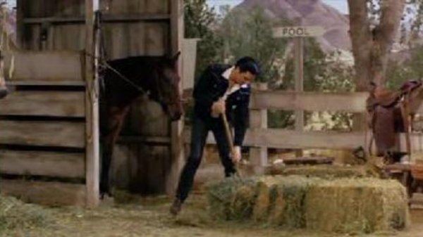 Пощекочи меня