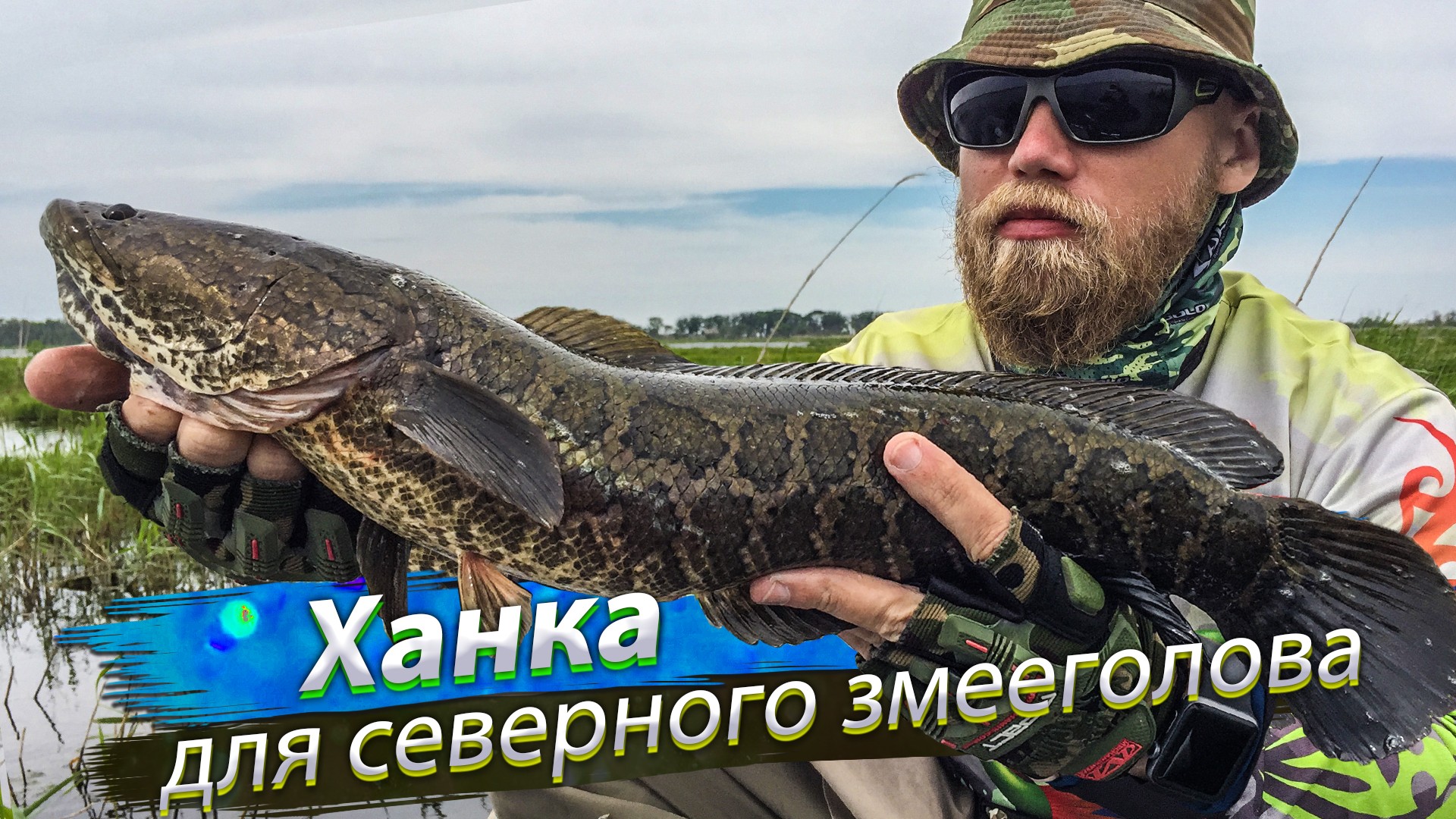 ОГРОМНЫЕ ЗМЕЕГОЛОВЫ кидаются на поверхностные приманки. Рыбалка на змееголова. Озеро Ханка смотреть онлайн