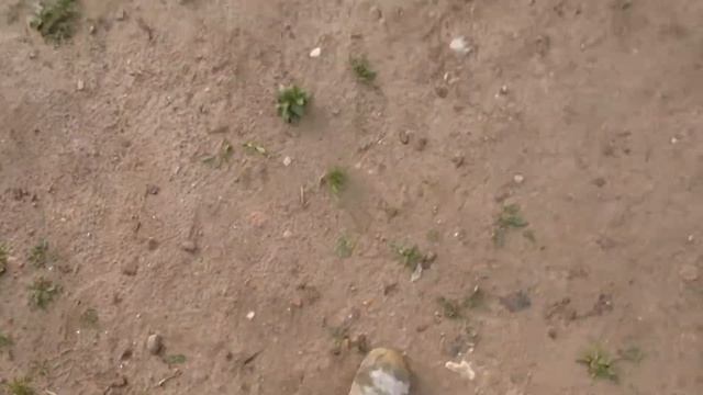 Строительство дома из газосиликатных блоков-7: Кладка фронтальной и тыловой стен