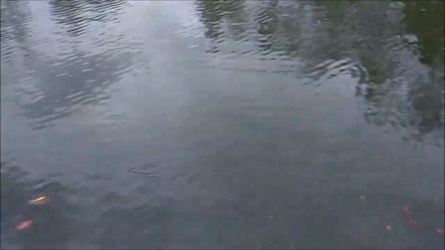 Клёв, поимки и рабочие приманки по форели. Спорт зона, Клёвое место смотреть онлайн