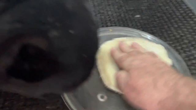 Французские бульдоги соревнуются со мной в активности! смотреть онлайн