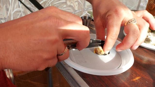 С друзьями на природу. Жарим мясо, едим морепродукты. Сахалин 2022г. смотреть онлайн