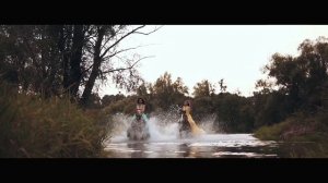 Красивая съёмка на лошадях