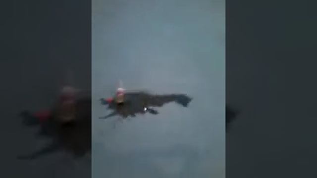 Эксперимент с колои и ментос смотреть онлайн