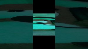 1000002182.mp4
