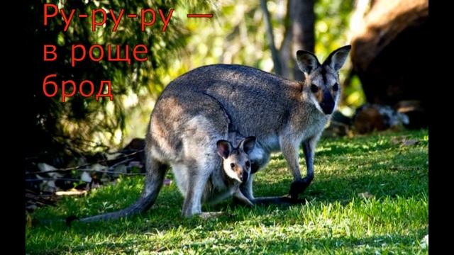 Чистоговорки на звук Р смотреть онлайн