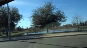 Фрезно(США)Город сад где мы живём 24 года как.