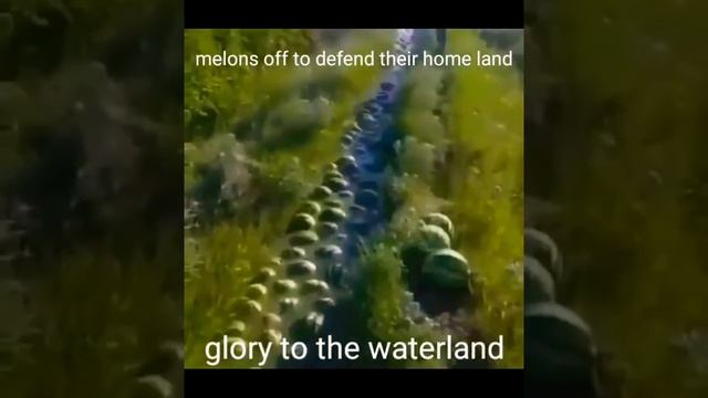 Melons off to defend their homeland смотреть онлайн