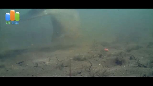 Catch Fish With Portable Sonar Fish Finder смотреть онлайн