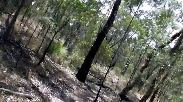 Onboard Trek 3900 смотреть онлайн