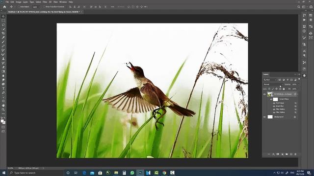 watercolor bird painting Effect in Photoshop (using filters mask and brush ) смотреть онлайн