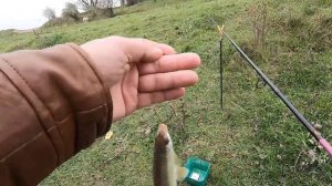 Снасть "Убийца Плотвы" ! Ловля плотвы на поплавочную удочку. Рыба клюет как из пулемёта!ТОП насадка