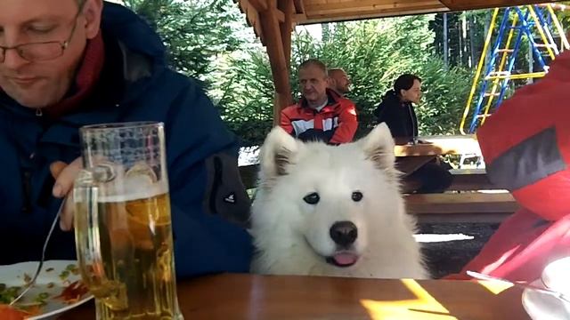 Crottendorf 2014 - Gaststätte - 2 смотреть онлайн